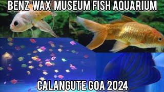 Benz Wax Museum fish aquarium in Calangute Goa 2024