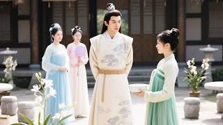 【Movie】新來的婢女失足撲進王爺懷裏，眾人嚇癱，王爺卻第一次動了心！#中国电视剧 #爱情
