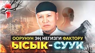 КУМАР БУГУБАЕВ: "ООРУНУН ЭҢ НЕГИЗГИ ФАКТОРУ - ЫСЫК, СУУК..."