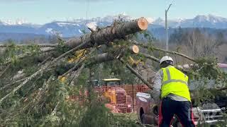 11-20-2024 Long Beach, WA - Snohomish, WA  - Rare Washington Waterspout - Home Damaged by Windstorm