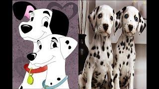 101 Dalmatians in Real Life - All Characters 2018 - OMG Kids