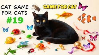 CAT GAMES | Keep Your Cat Happy and Healthy with Fun Episode 19 | 11HOURS 