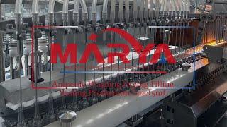 Marya 5ml Ampoule Washing Filling Sealing Line Manufacturers Pharma Ampoule Filling Machine Supplier