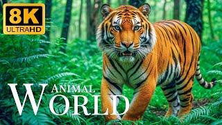 Animal World 8K ULTRA HDAmazing Animal Facts With Relaxing Sounds