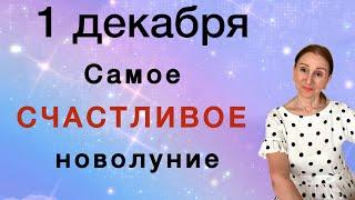  НОВОЛУНИЕ 1 декабря  Шанс Успех Удача ….. Розанна Княжанская