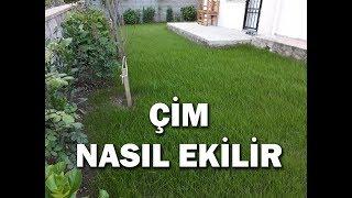 En kolay çim ekimi nasıl yapılır, çim nasıl ekilir ?