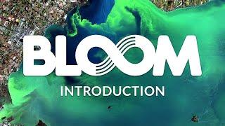 Turning Algae Blooms into Sustainable Materials | BLOOM