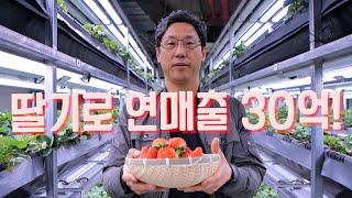 [역전의부자농부 349회] 딸기 농장 운영으로 연 매출 30억 원! 세종 이상훈 부자농부