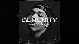 Lil Baby Loop Kit - Serenity (4PF, Lil Durk, Melodic, Slimelife Shawty Loop Kit / Sample Pack 2023)