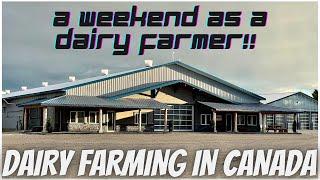 A Dairy Farmers Weekend...