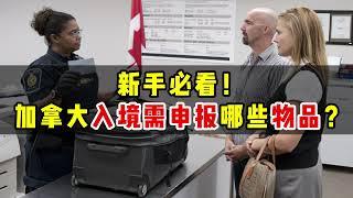 新手必看！加拿大入境哪些物品必须申报？| 个人物品申报免税额度