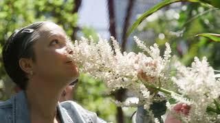 Guided walks at the Royal Botanic Garden Sydney