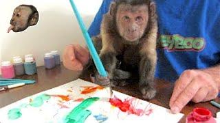 MonkeyBoo Art Work!
