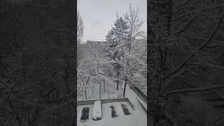 #bishkek #kyrgyzstan #russia #snowfall #snow #shortvideo #shorts #reel #reels