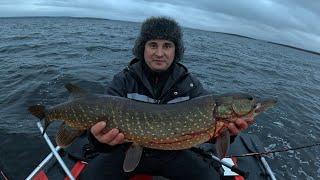 РЫБАЛКА УДАЛАСЬ , РЫБА ПОЙМАНА / FISHING WAS A SUCCESS, FISH CAUGHT