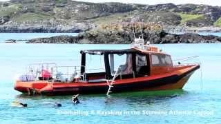 Basking Shark Scotland & Dive Oban & Argyll - Video Summary