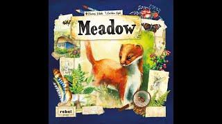 메도우(Meadow) 찍먹 플레이 with 곰잼, 우주티비, 레이지니