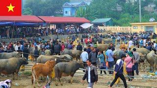 "A Day at the Traditional Sín Chéng Mountain Market"