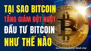 Tại sao giá Bitcoin lại tăng và giảm đột ngột | Nên đầu tư bitcoin như thế nào?