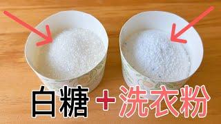 washing powder sugar  life hacks White sugar and washing powder are used together