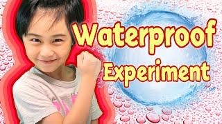 Science Experiment | Waterproof Experiment | Material Experiment | 兒童小實驗｜防水測試｜Arthus Ng’s World