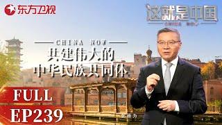 【EP239】节目组走进新疆,感受新疆人民热情,赞叹一带一路为新疆带来的深远影响！一起探讨如何共建伟大的中华民族共同体！｜#这就是中国｜FULL｜#上海电视台官方频道