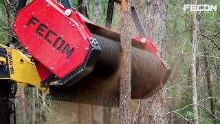 Rise & Grind with Fecon Australia - Mulchers, Stump Grinders & Tree Shears for Skid Steers & Excav