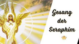 Das Lied der Seraphim: Energetisches Gleichgewicht und Dankbarkeit