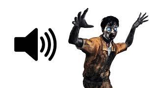 Call of Duty Zombie Scream - Sound Effect | ProSounds