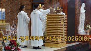 인천교구 대야동성당 천주의성모마리아대축일 20250101