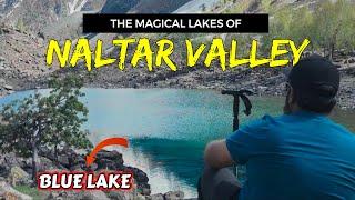 Full of Drone Shots Like never seen before | Picturesque Naltar Valley Gilgit Baltistan