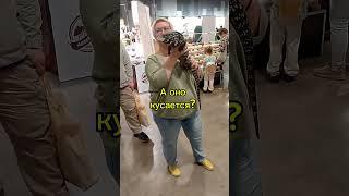 Всë, что имеет зубы может сделать кусь!  #zhirondairllota #смешныеживотные #funnyanimal #рептилиум