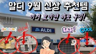 알디에 가야만 해결되는 식재료 추천템  Aldi 9월 신상품 중에 보이면 바로 사야 하는  아이템 싹 골라 봅니다  긍정생활 루틴