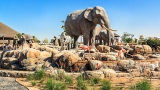 ЗООпарк в Дубае (Dubai Safari Park). Кормление жирафов. Сафари.