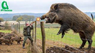Texas Farmer Takes Down Giant Hog – How Did This Wild Beast Get So Huge?