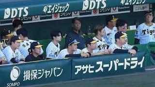 【痛恨の敗戦】試合終了後、悔しさを滲ませながらグラウンドを見つめる阪神ナイン。しばらくベンチを動けず 2024.9.23