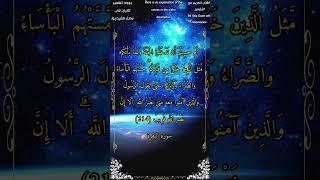 أم حسبتم أن تدخلوا الجنة ولما يأتكم مثل الذين خلوا من قبلكم #سورة_البقرة #الشيخ_أحمد_بن_طالب_حميد