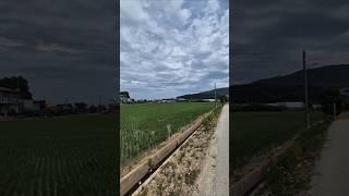 평당 17만원 아산토지매매 곧 만나요