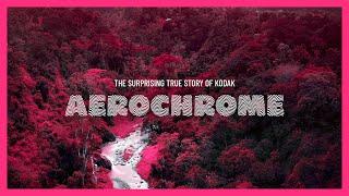 The Surprising True Story of Kodak Aerochrome / Part One