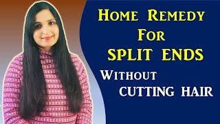 Get Rid of Split Ends/ My Hair Care Routine/ Natural Home Remedy for Damaged Hair/ Samyuktha Diaries