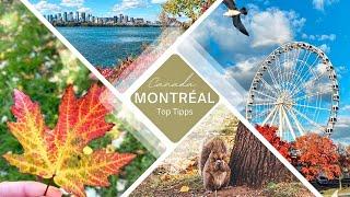 Montreal - Meine SightseeingTipps - Kanada #IndianSummer