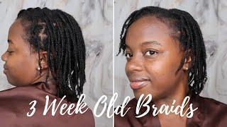 4C Mini Braids Refresh and Reset Holy Grail Method | 3 weeks+