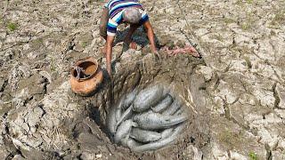 Catfish in Secret Hole Dry By Smart Boy -Smart Boy Catching Big Fish By Mud In The Dry Season