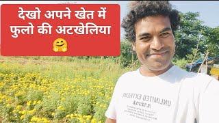 My New  Video for our farm | Narendra Nath|