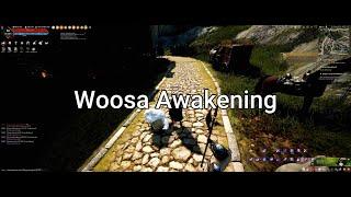 BDO Woosa Awakening Playthrough