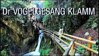 Dr Vogelgesang Klamm Austria