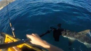 Hammerhead Shark Attacks Kayak Fisherman