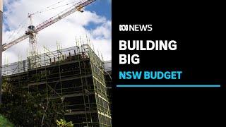 Advocates welcome NSW's big spend on social and affordable housing | ABC News