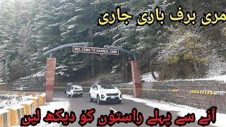 today murree mallroad live snowfall murree me snowfall live new video 24 dec2024 murree rush crowd