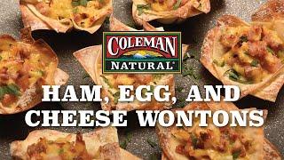 Simple Ham, Egg, Cheese Wonton Recipe